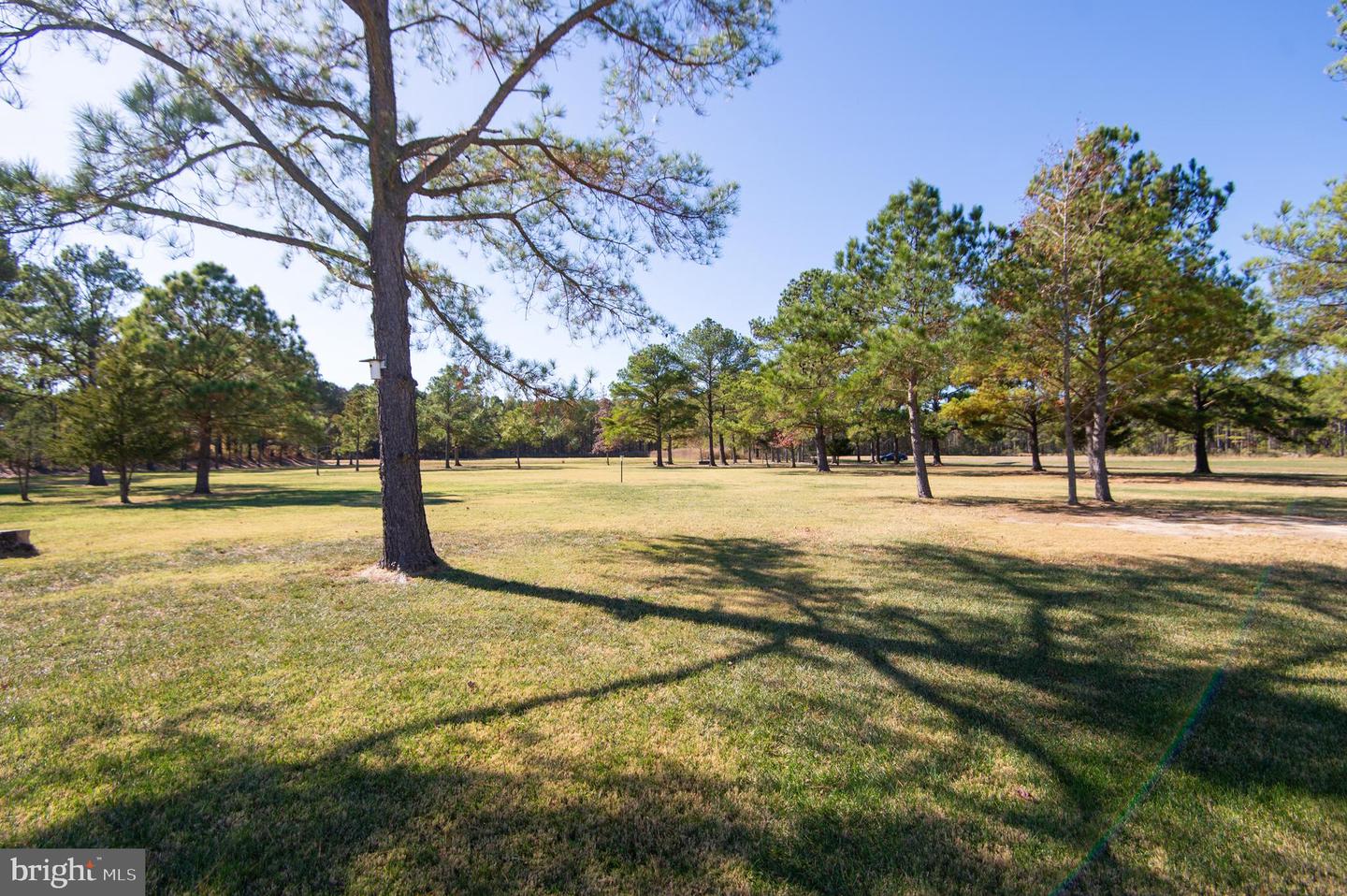 4820 Madison Canning House Rd Property Photo 51