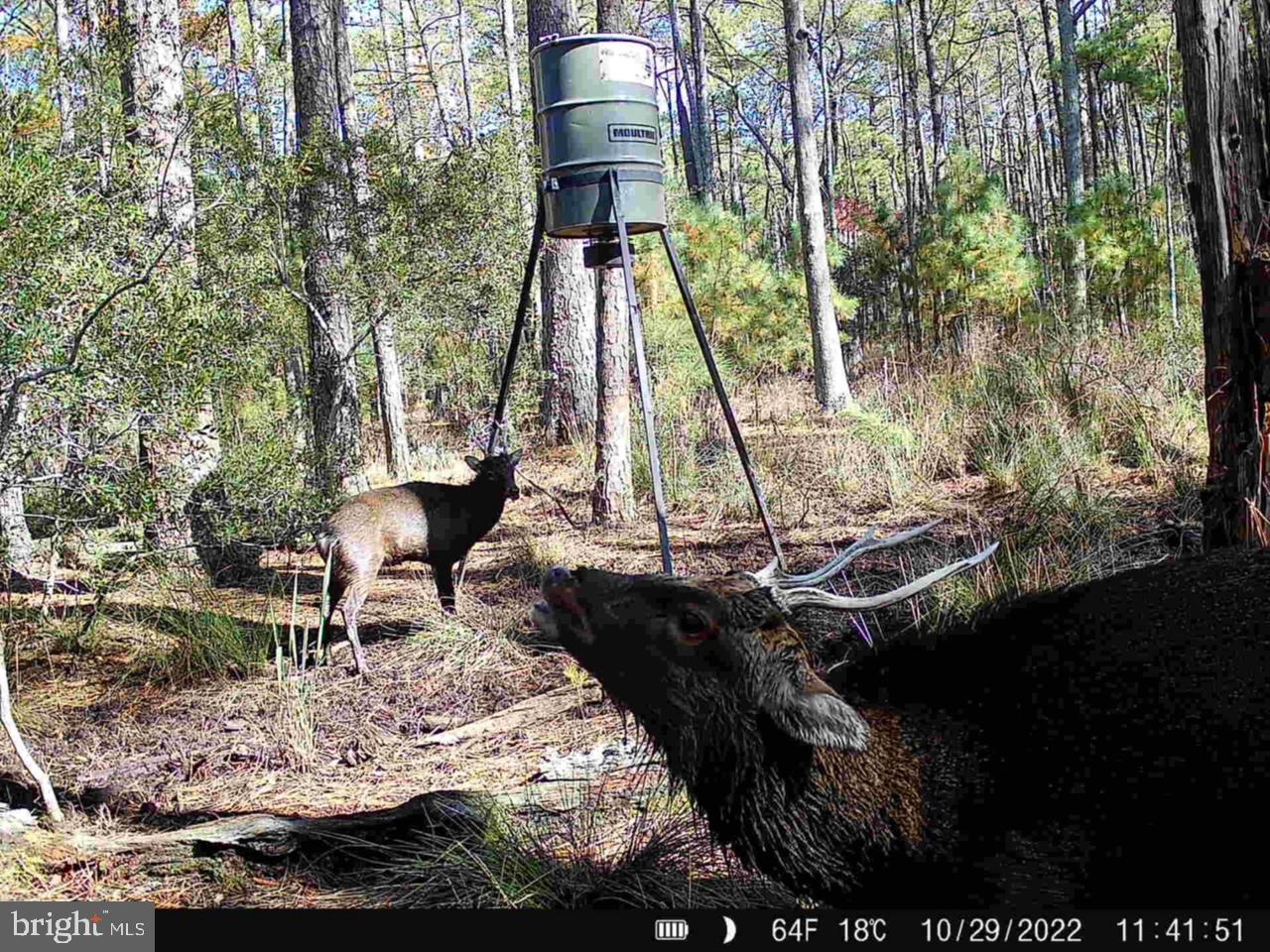 0 Shorters Wharf Rd Property Photo