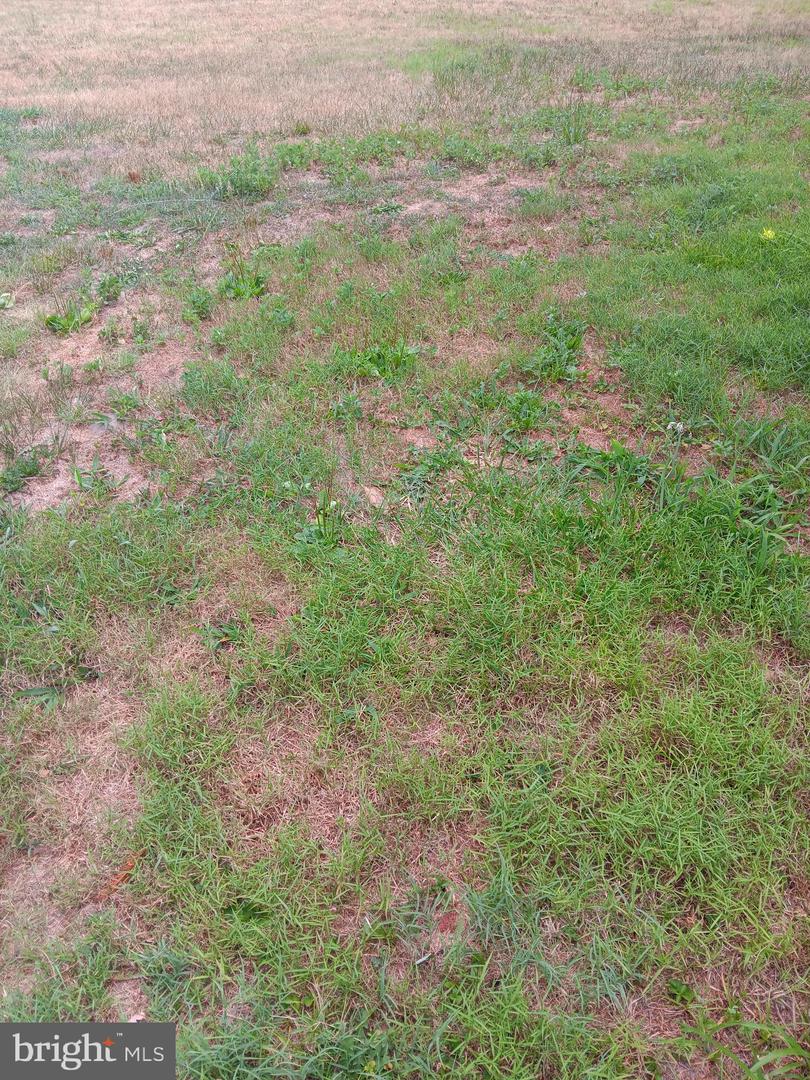 207 MAIN ST Property Photo 1