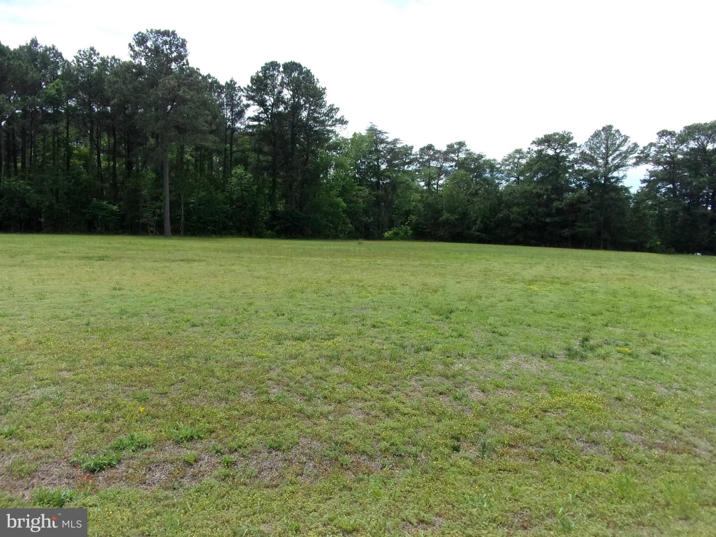 6006 BLUE HERON DR Property Photo 1
