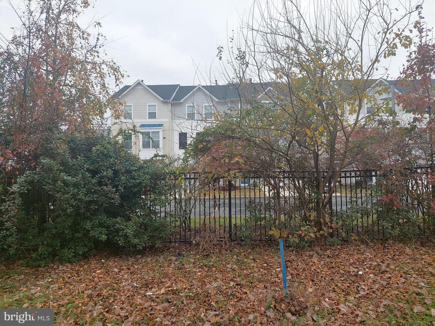 Cedar St Property Photo 1