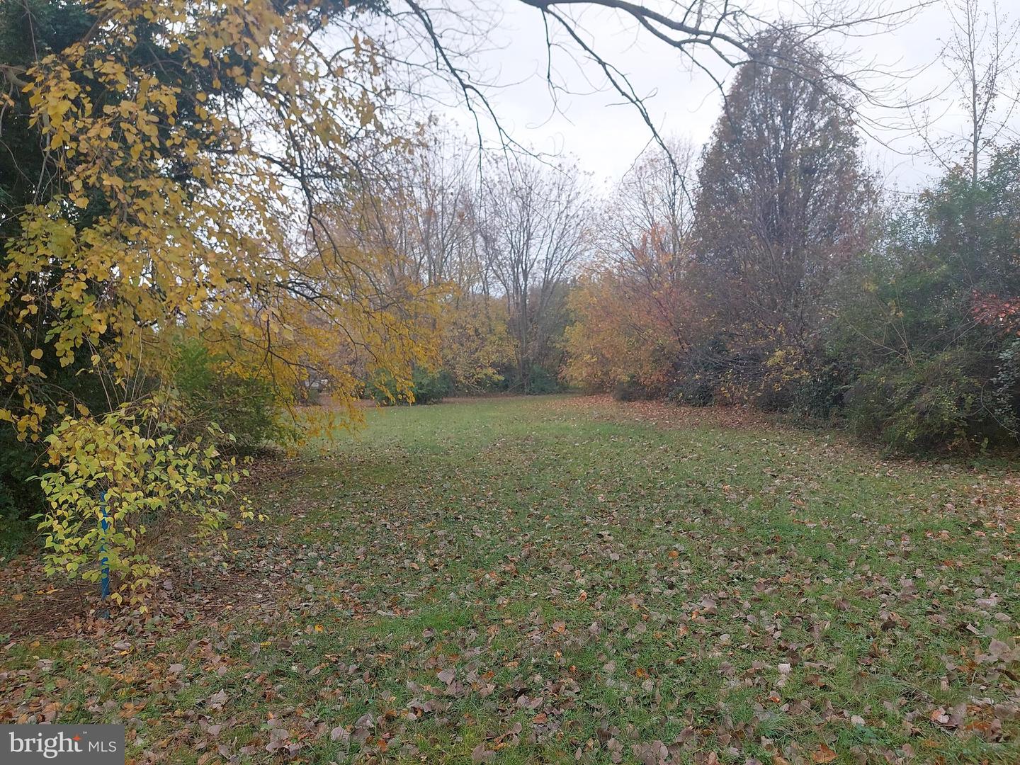 Cedar St Property Photo 2