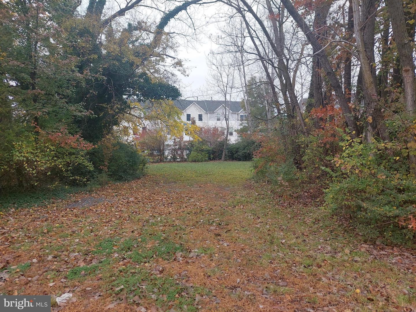 Cedar St Property Photo 4