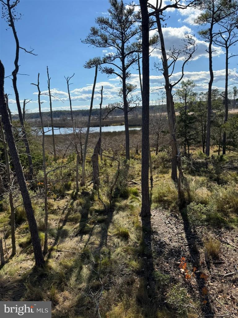 Robinson Neck Rd Property Photo 1