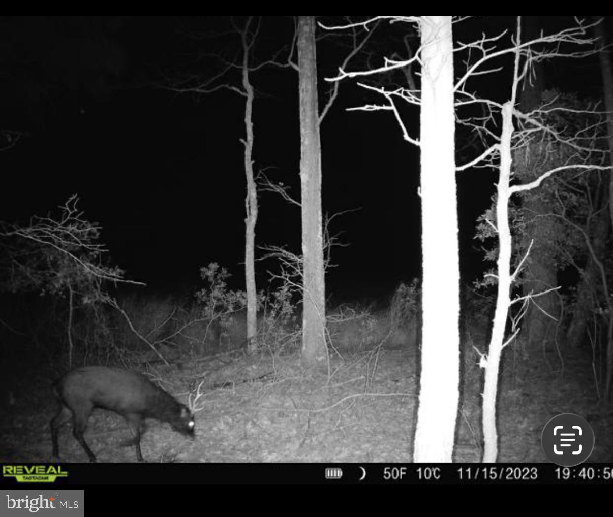 2839 Lakesville Crapo Rd Property Photo 6