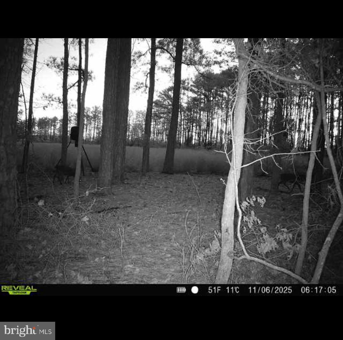 2839 Lakesville Crapo Rd Property Photo 13