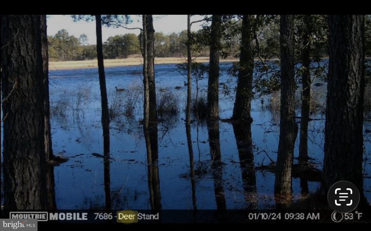 2839 Lakesville Crapo Rd Property Photo 28