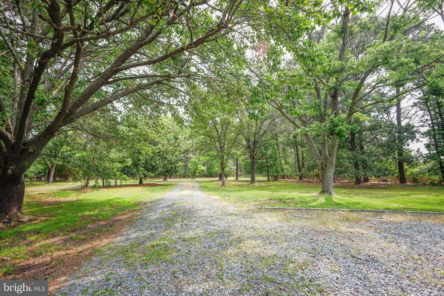 4004 Robinson Neck Rd Property Photo 62