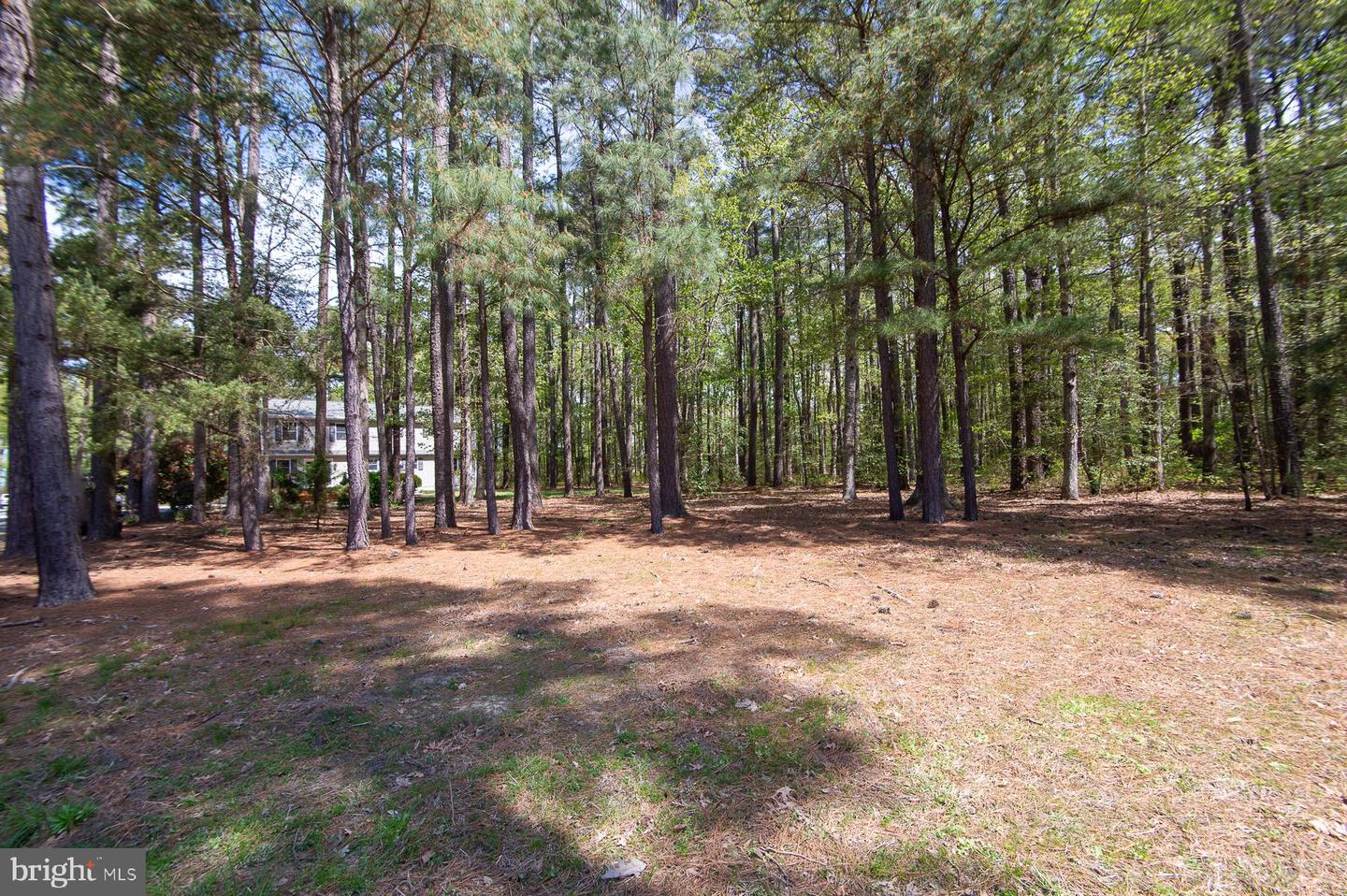 5951 Ross Neck Rd Property Photo 52