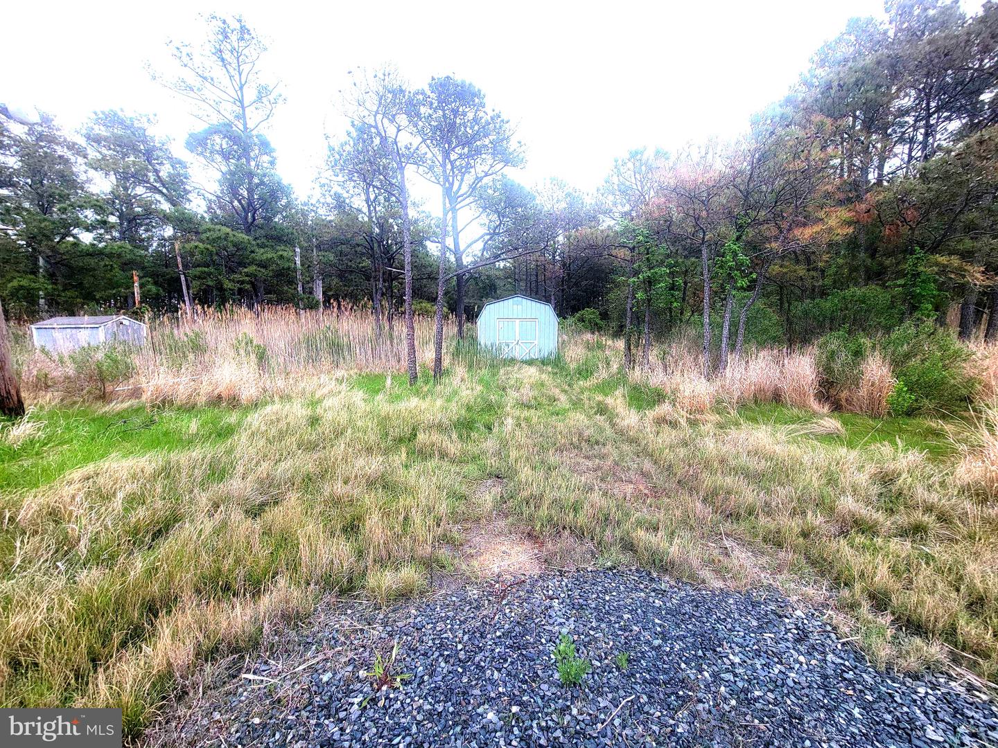 2125 Hoopersville Rd Property Photo 2