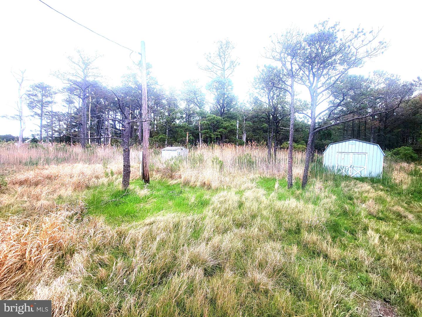 2125 Hoopersville Rd Property Photo 3
