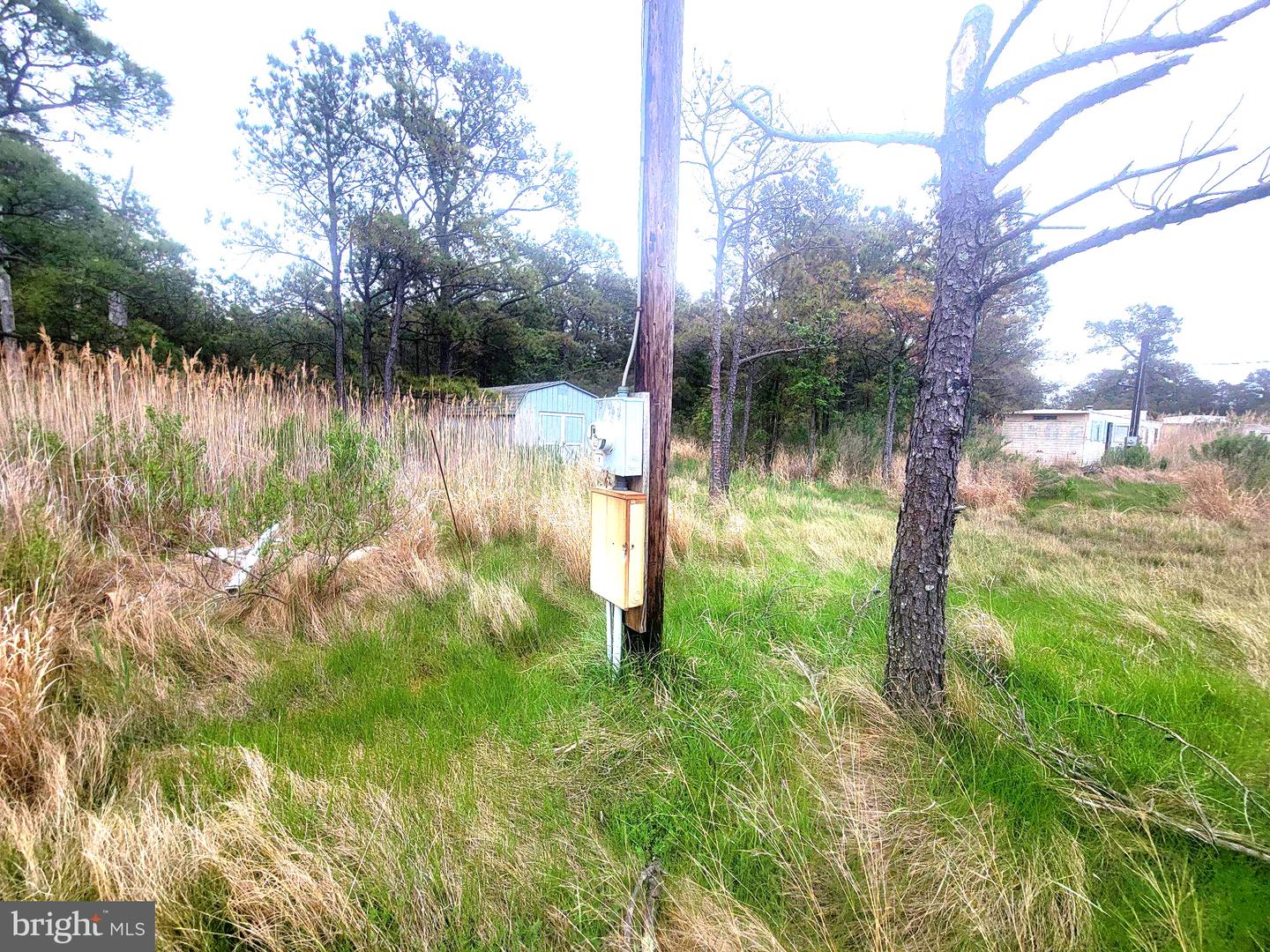 2125 Hoopersville Rd Property Photo 4