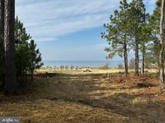 5332 Ragged Point Rd Property Photo 65