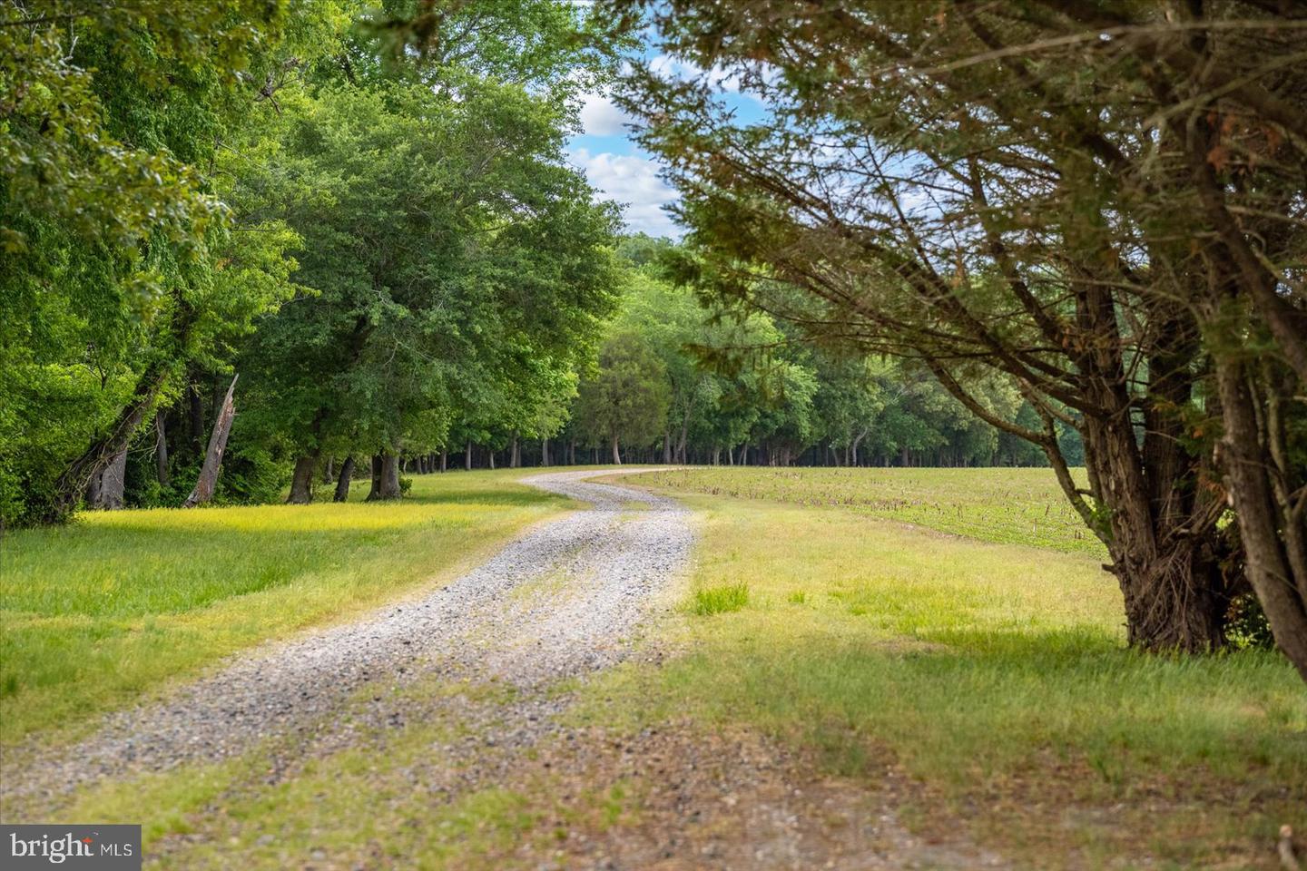 5113 River Rd Property Photo 6