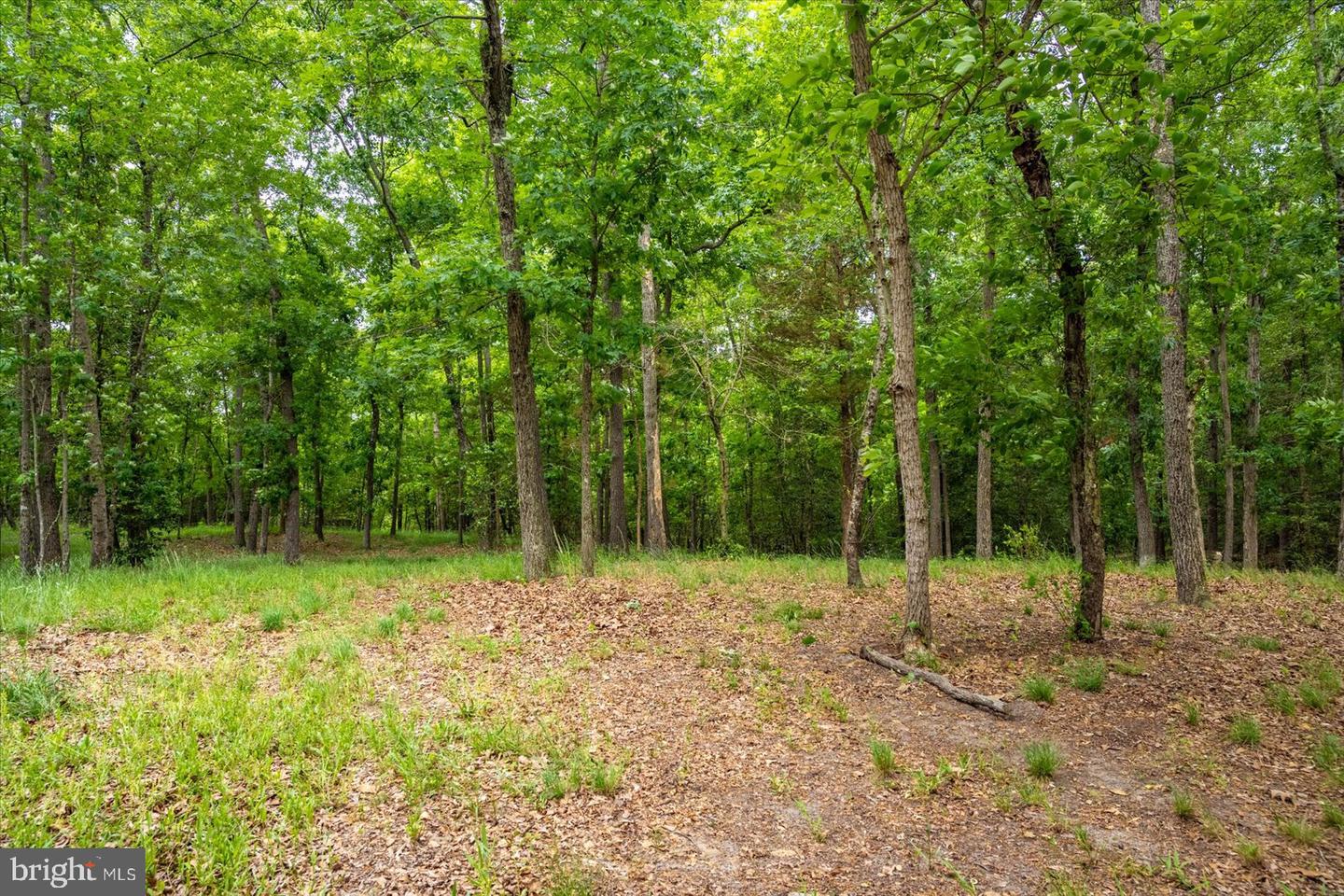 5113 River Rd Property Photo 7