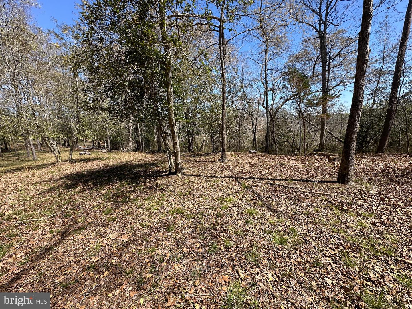 5113 River Rd Property Photo 50