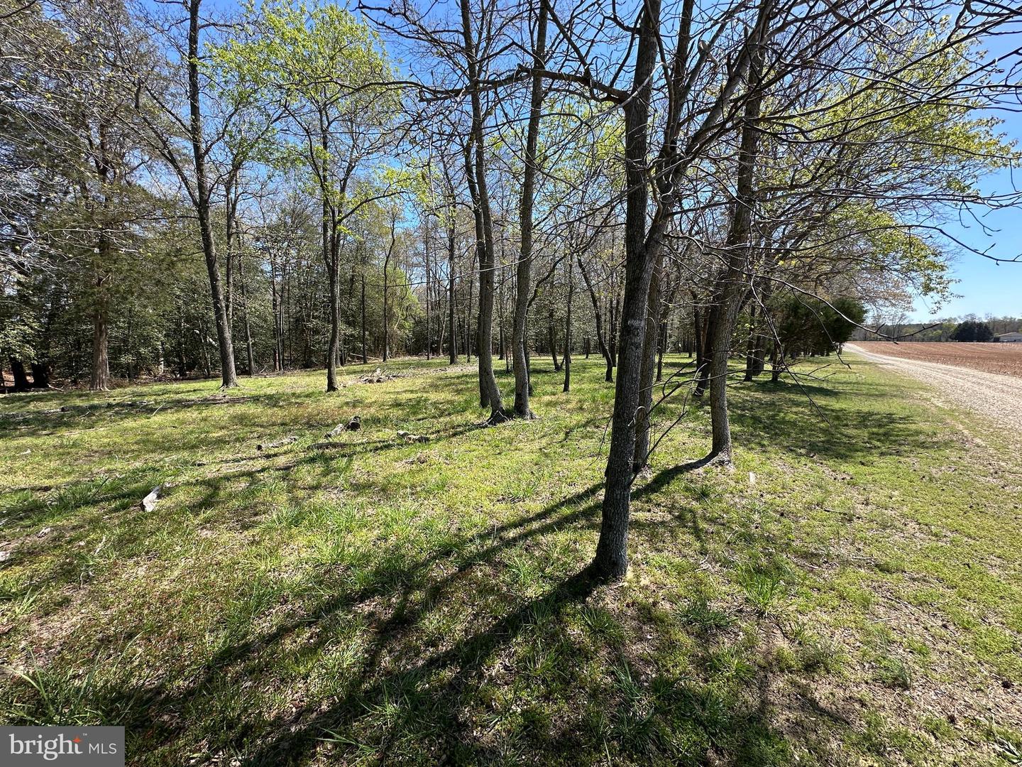 5113 River Rd Property Photo 51
