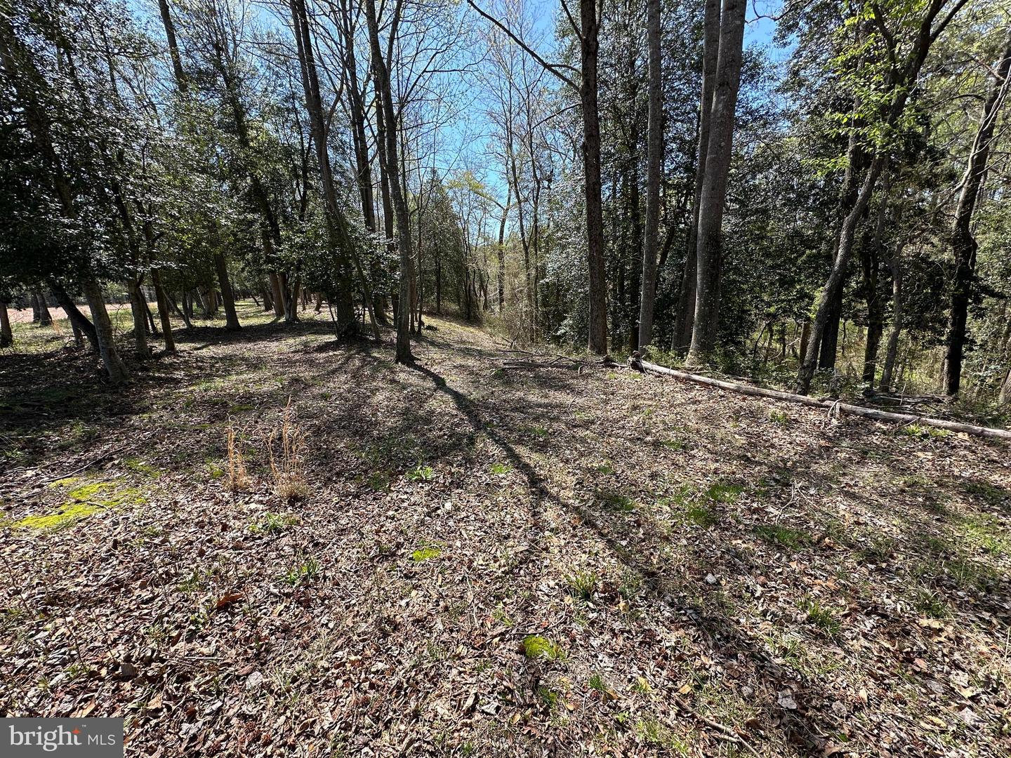 5113 River Rd Property Photo 52