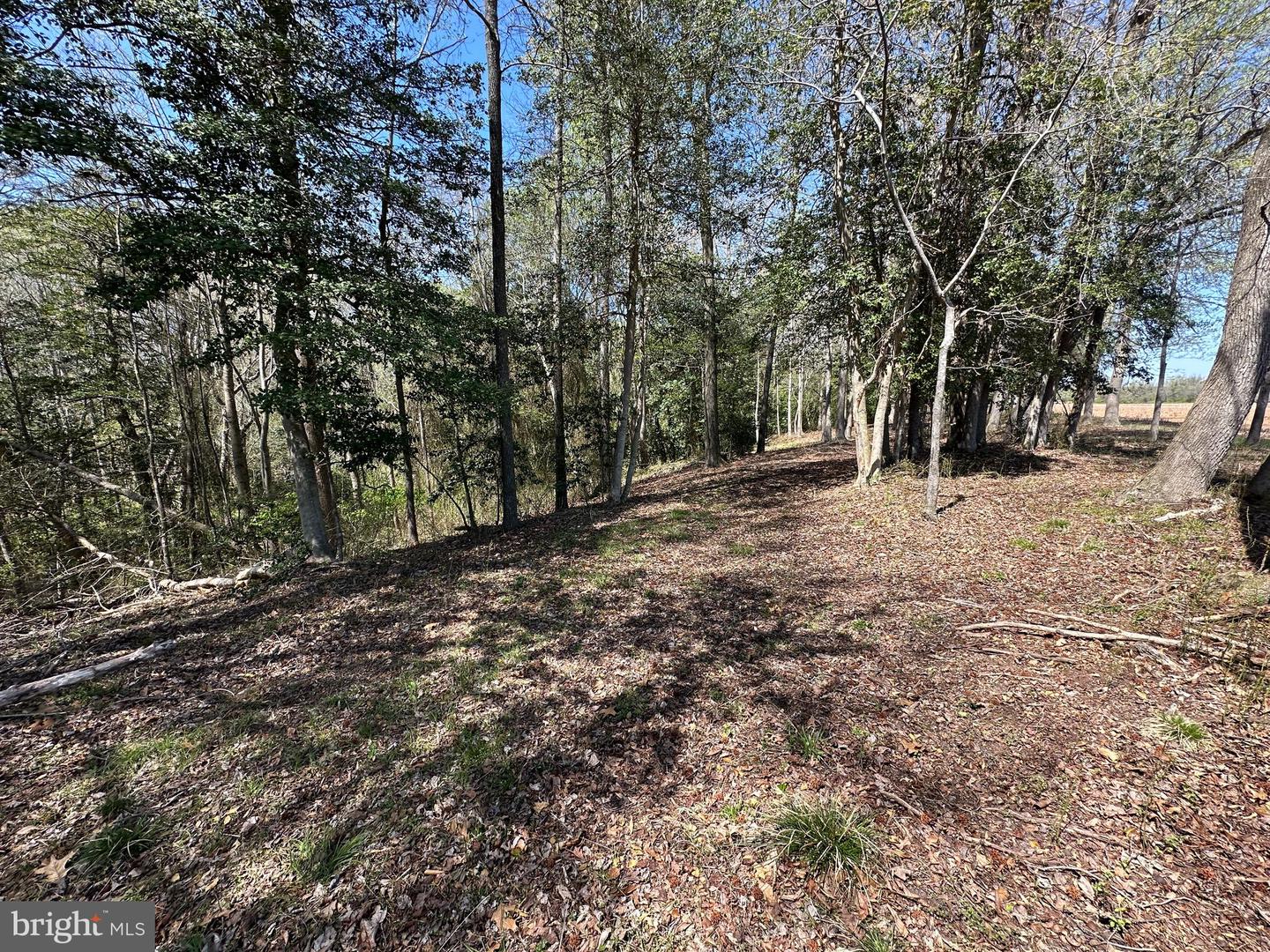 5113 River Rd Property Photo 53