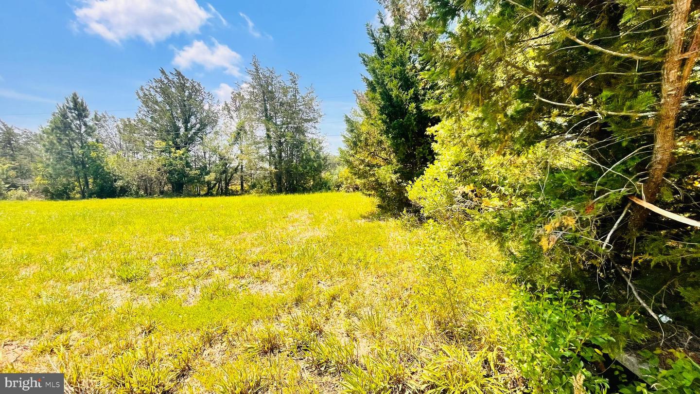 1609 Heliport Rd Property Photo 18