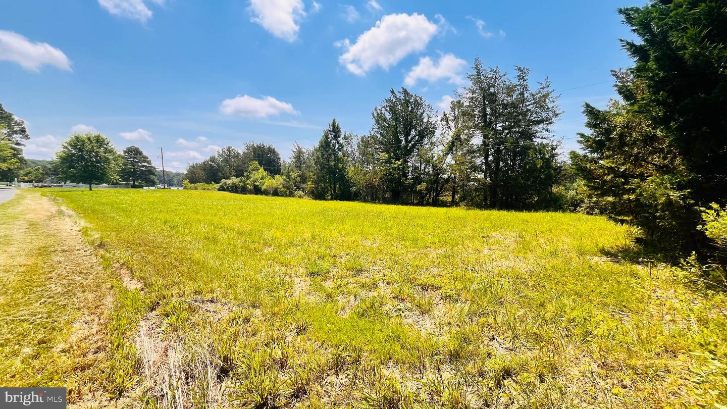 1609 Heliport Rd Property Photo 19