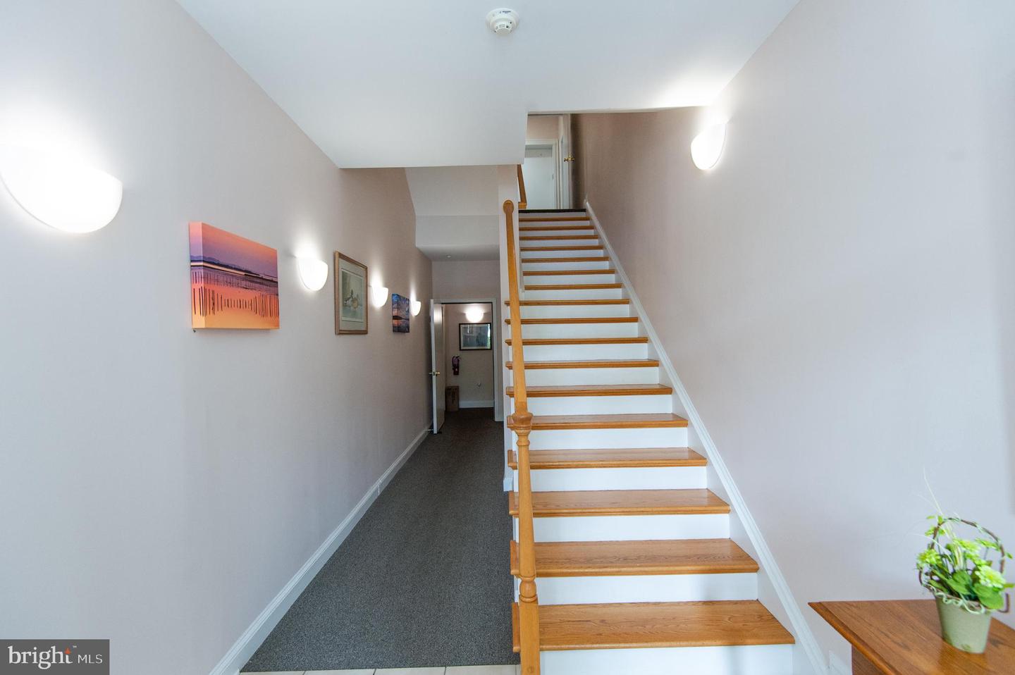 3 Oakley St Property Photo 5
