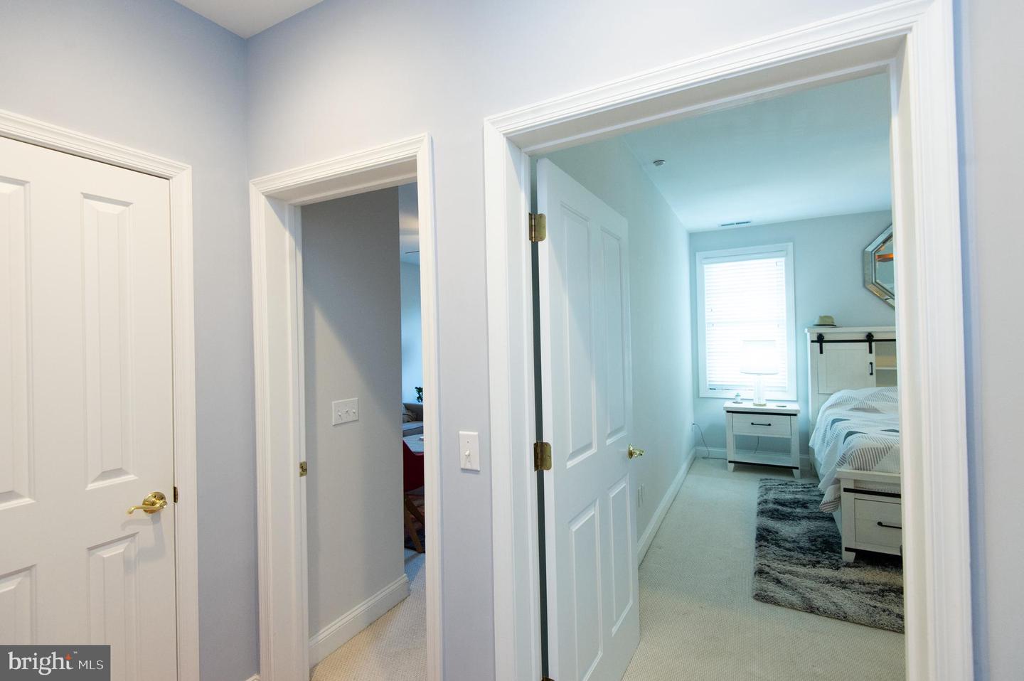 3 Oakley St Property Photo 15