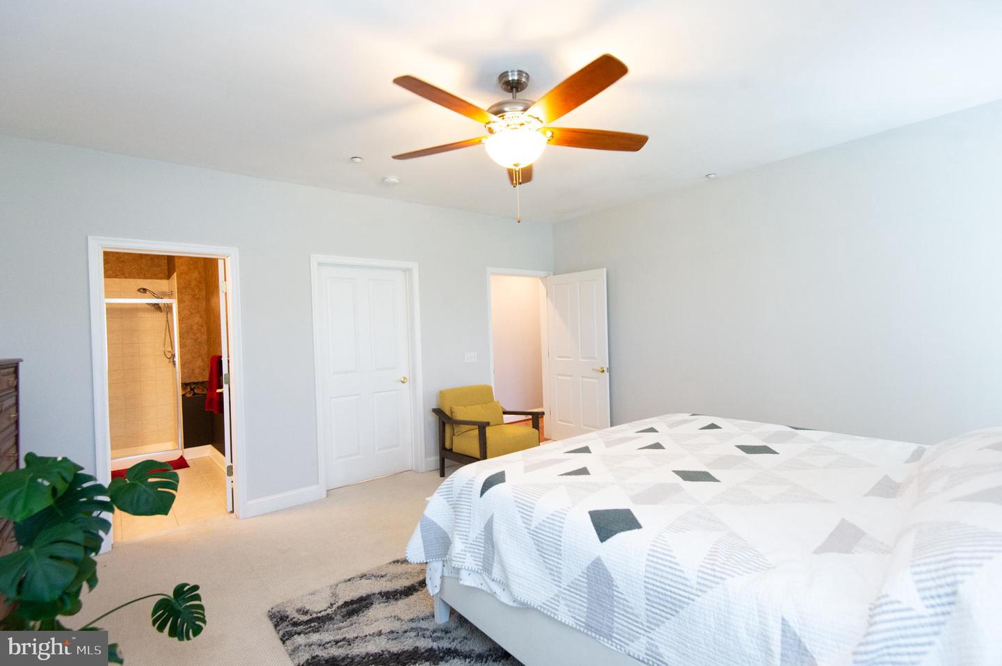 3 Oakley St Property Photo 22
