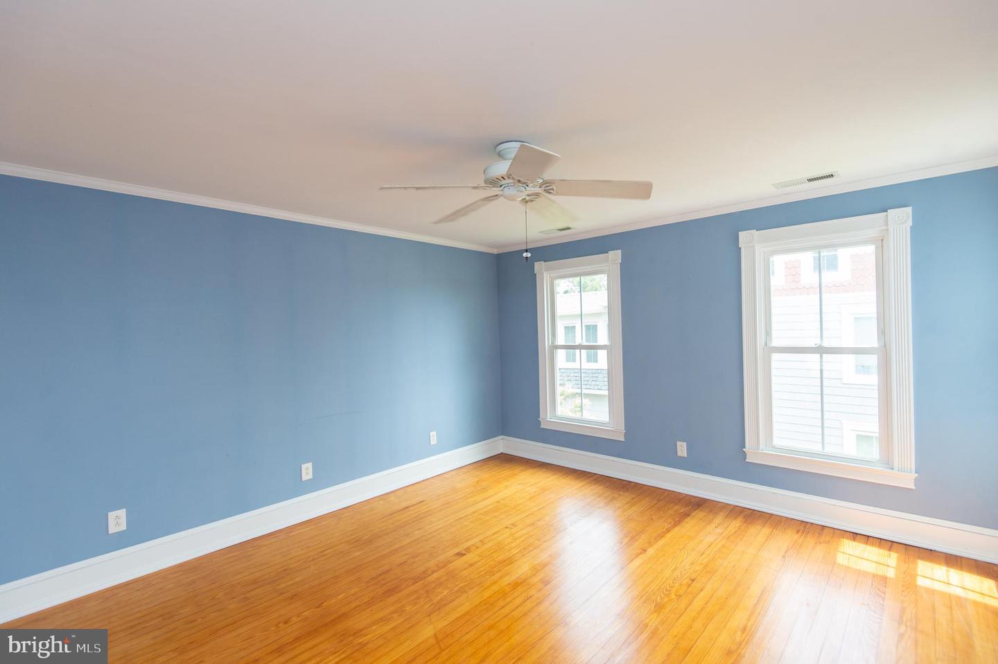 5 Choptank Ave Property Photo 13