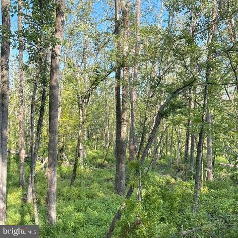 0 Galestown Rd Property Photo 9