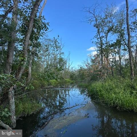 0 Galestown Rd Property Photo 17