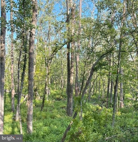0 Galestown Rd Property Photo 20