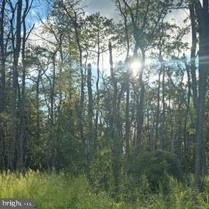 0 Galestown Rd Property Photo 22