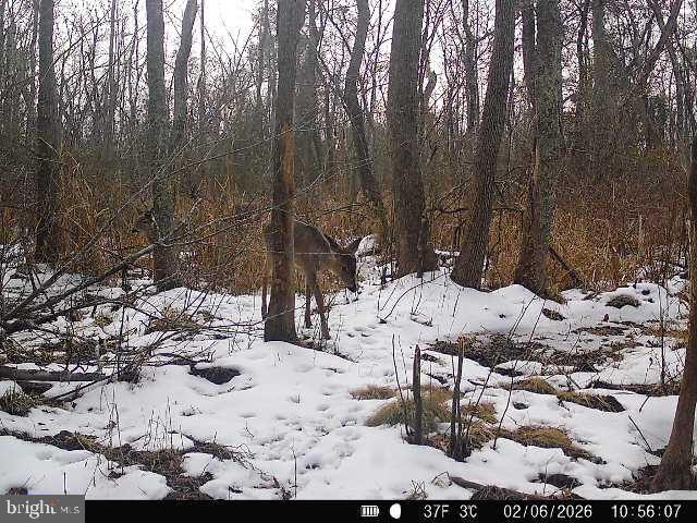0 Galestown Rd Property Photo 28