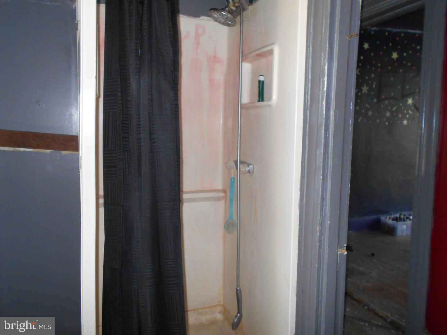 1104 Locust St Property Photo 23