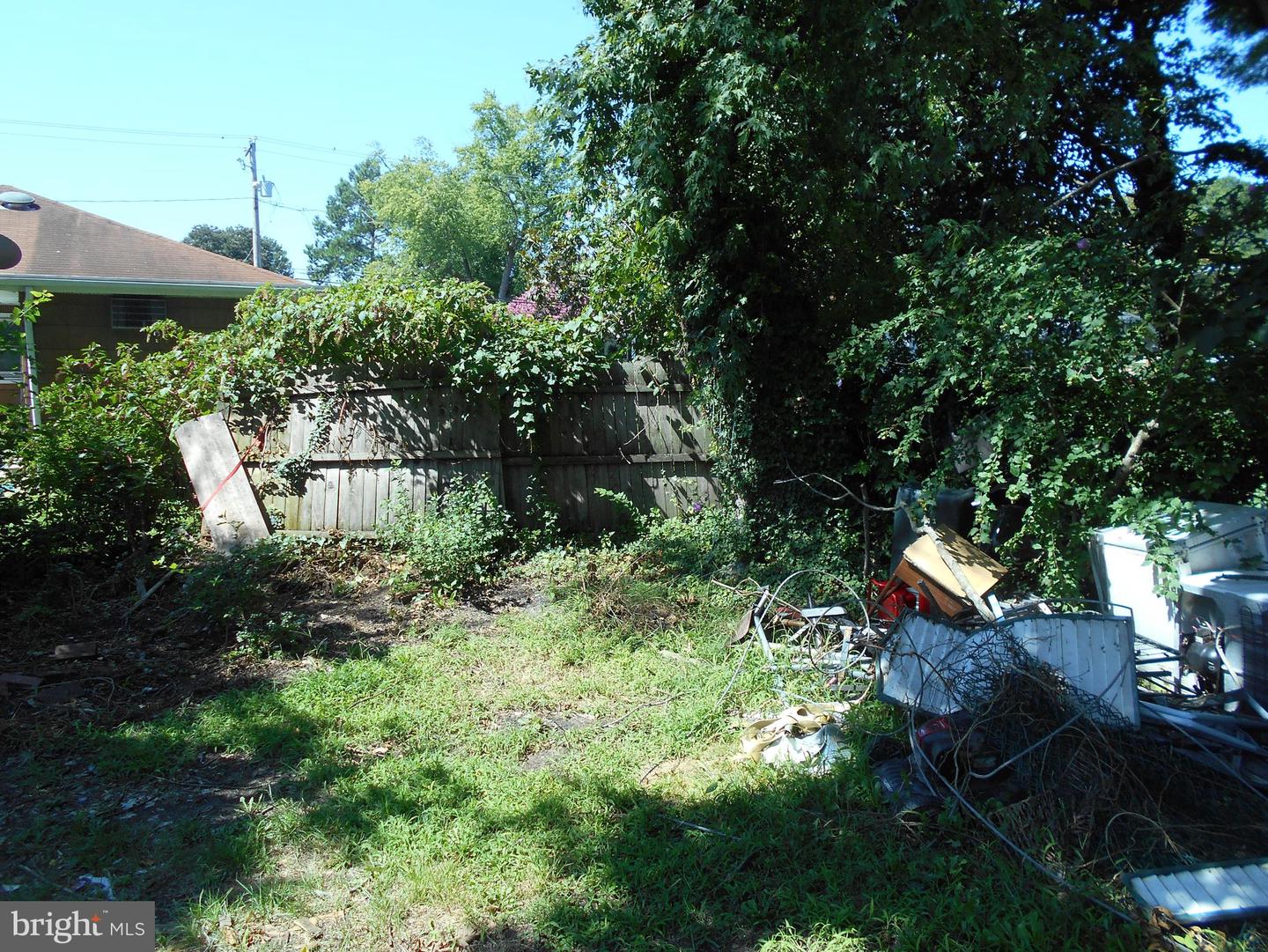 1104 Locust St Property Photo 36