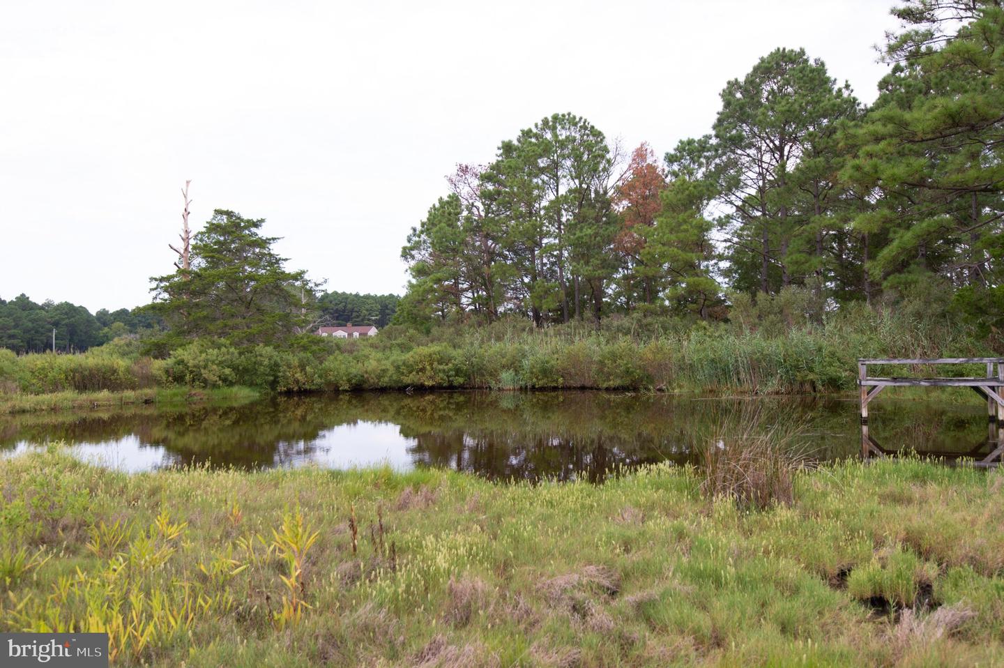 1001 Wagner Point Rd Property Photo 26