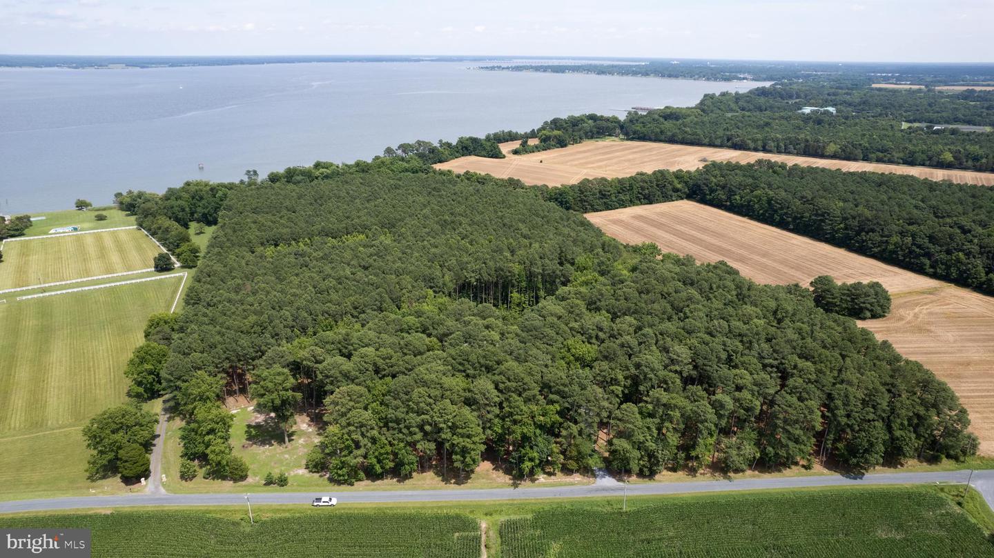 HORNS POINT RD