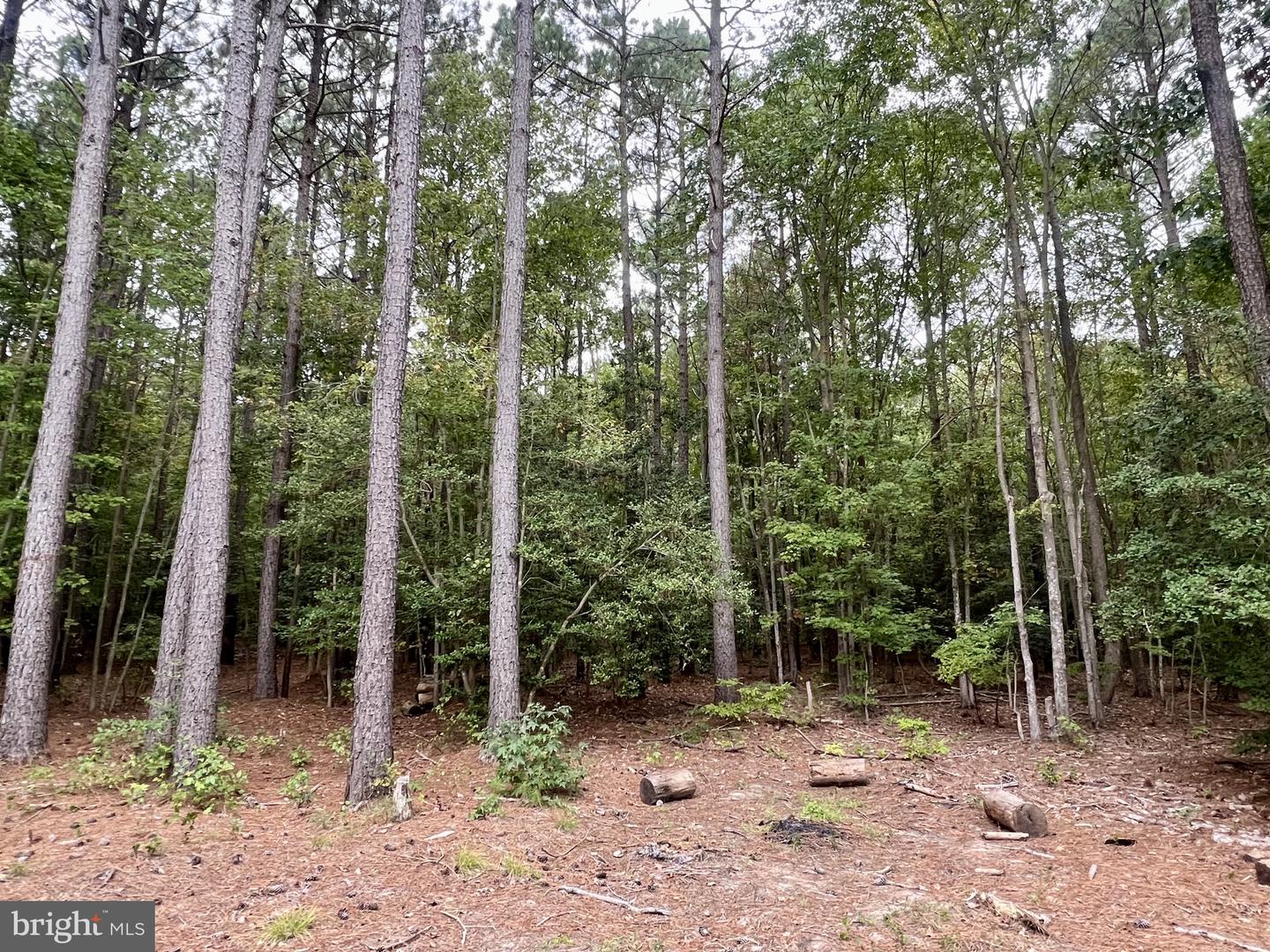 5230 Heron Rd Property Photo 93