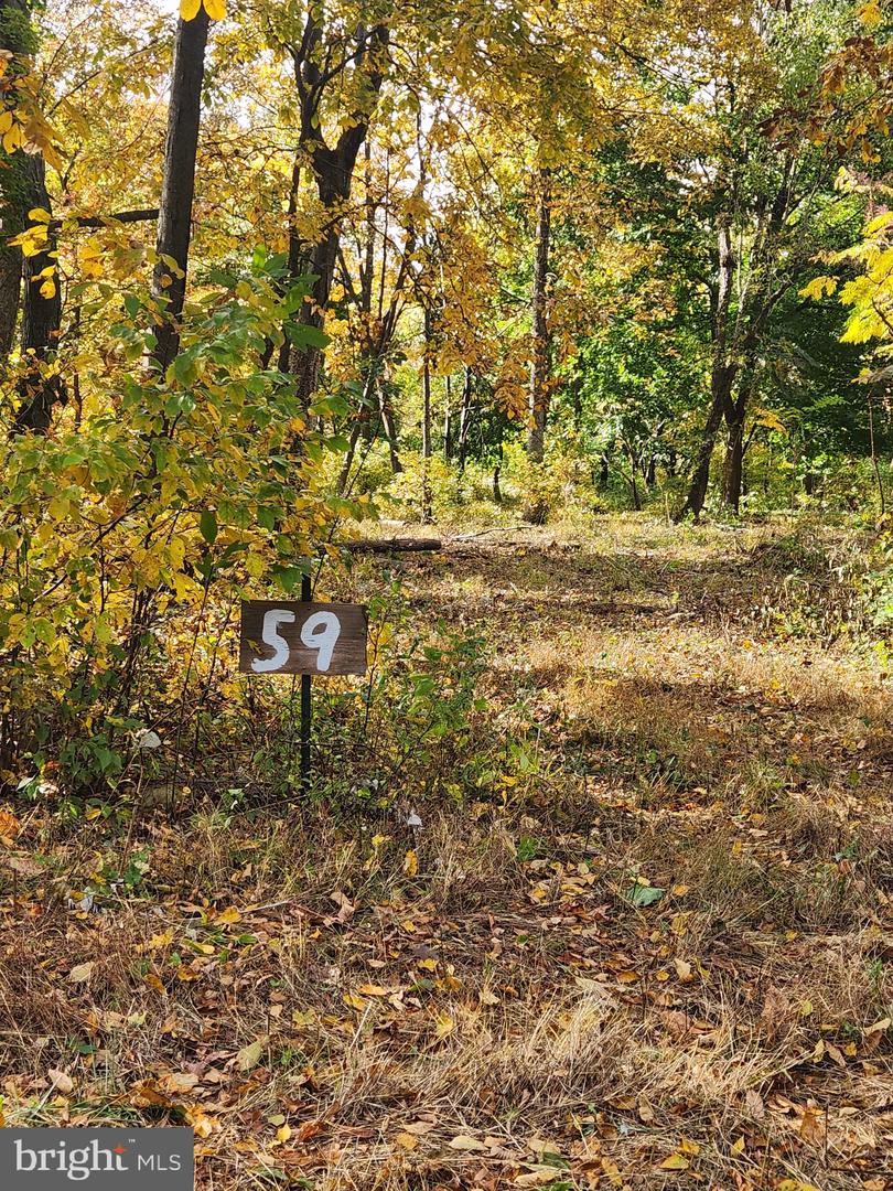 59 Mountaintop Road Property Photo 7