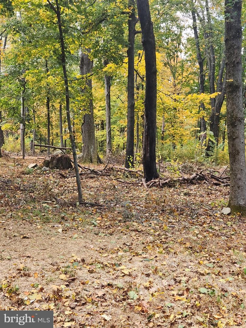 59 Mountaintop Road Property Photo 8