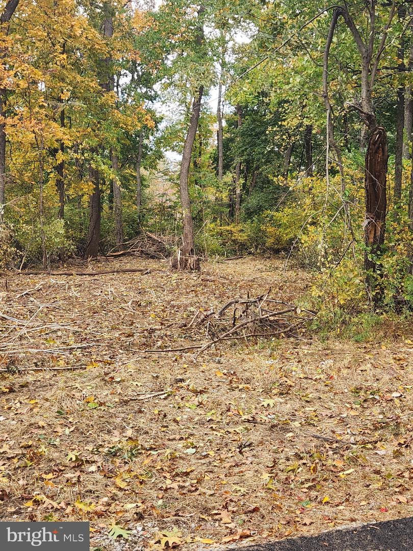 59 Mountaintop Road Property Photo 10