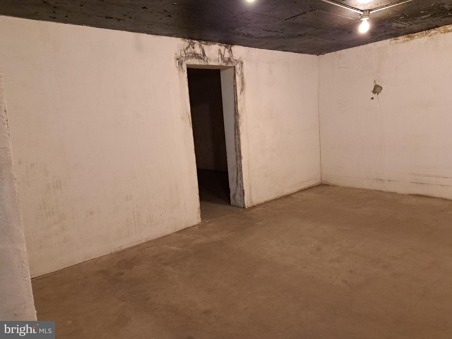 917 N East St #d Property Photo 13