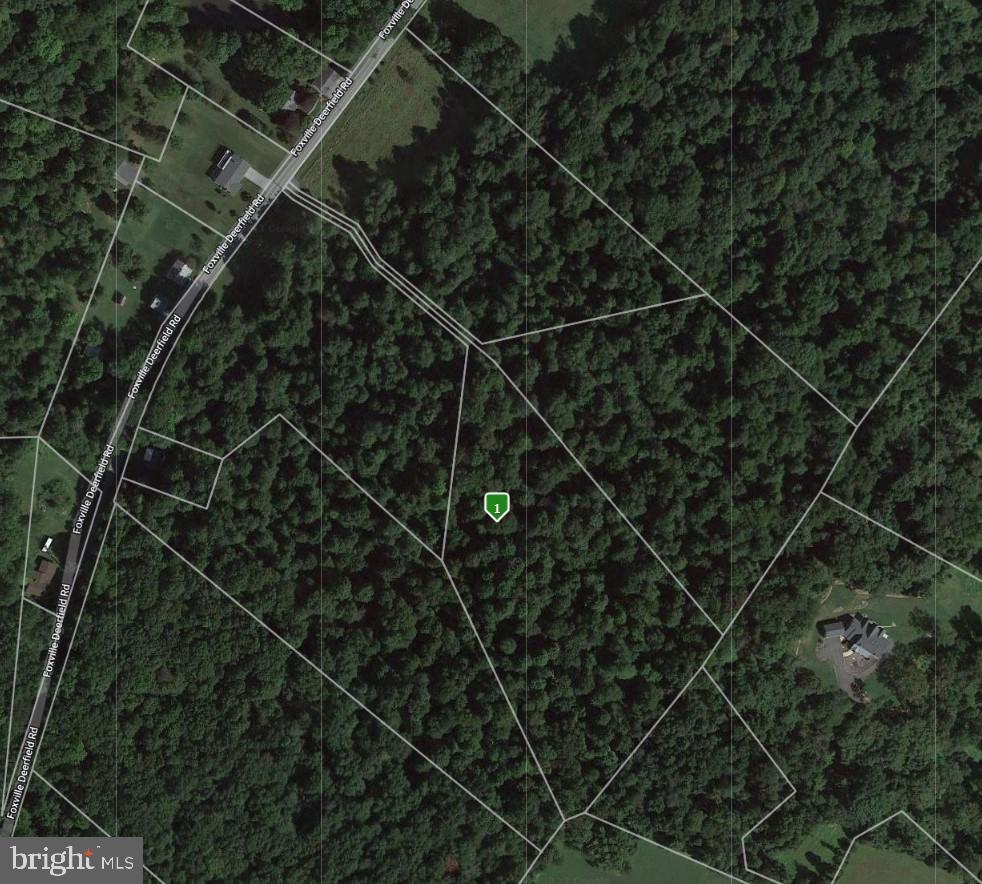 16015 Foxville Deerfield Rd Property Photo 1
