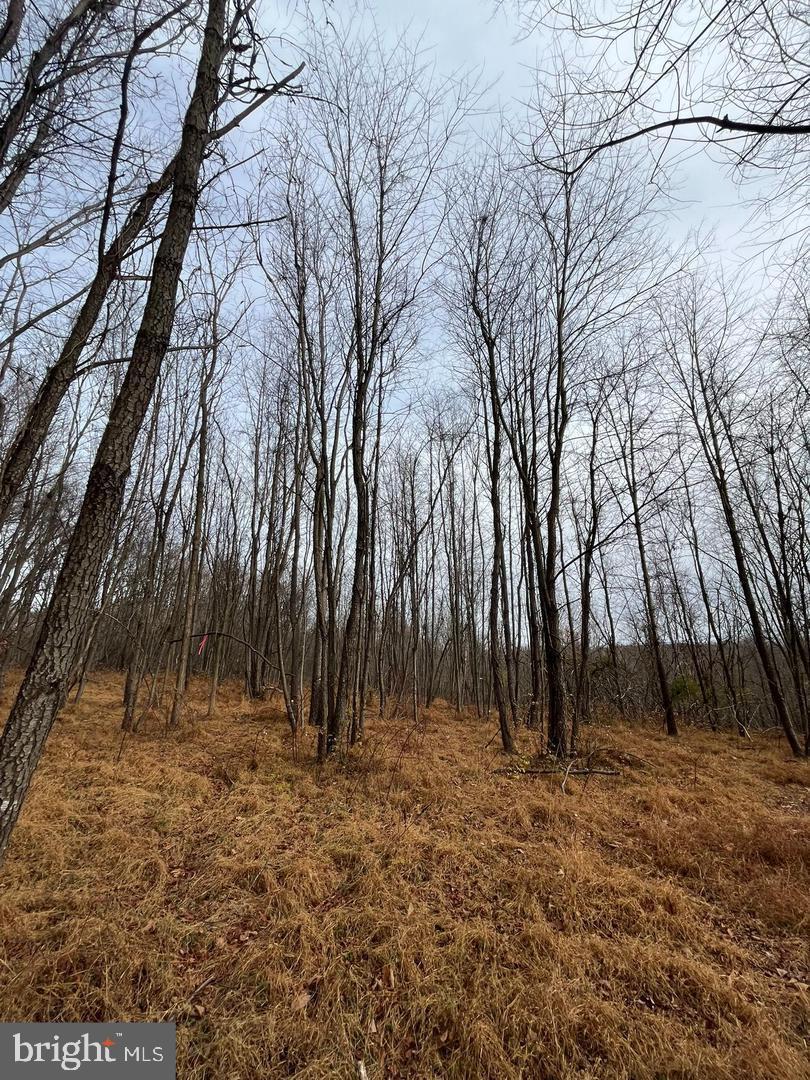 6468-a General Drive #burke Property Photo 5