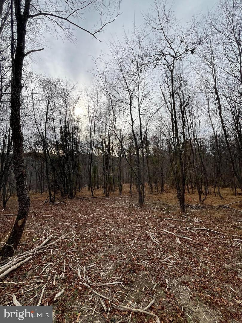 6460 General Drive #ashcroft Property Photo 7