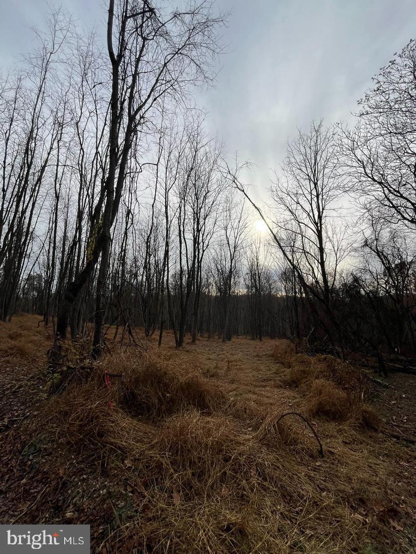 6460 General Drive #ashcroft Property Photo 11