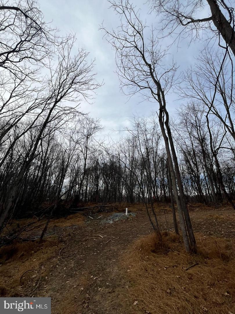 6460 General Drive #ashcroft Property Photo 12