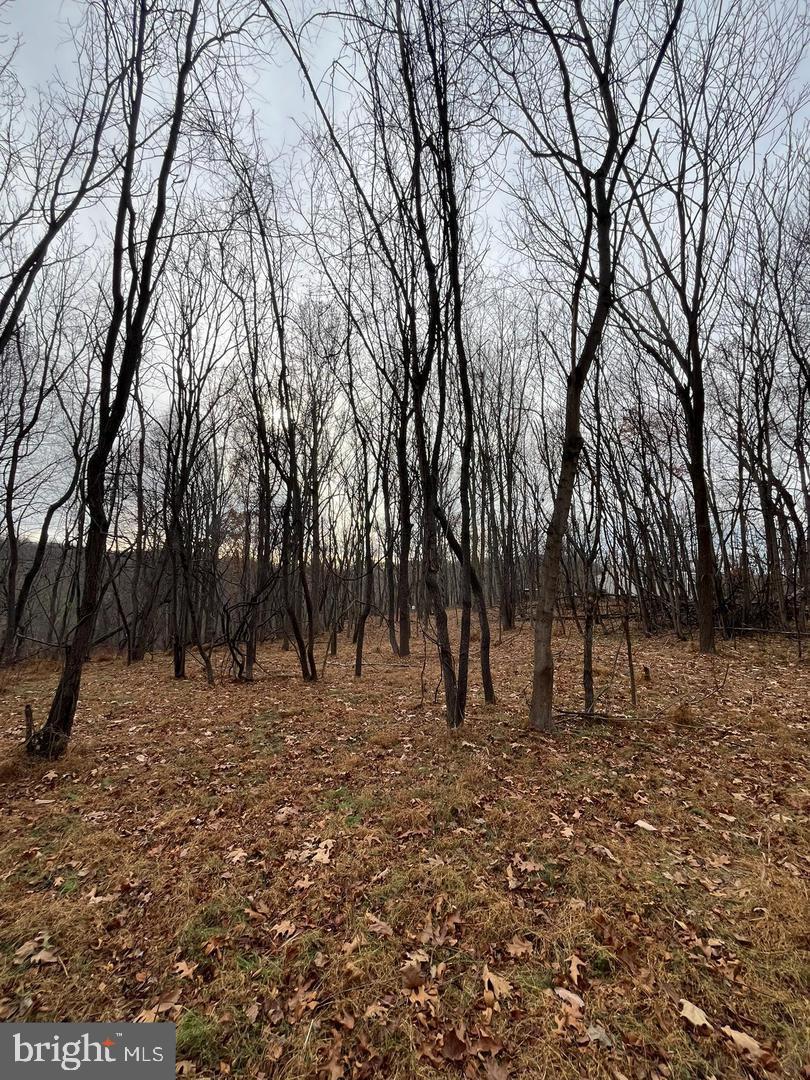 6460 General Drive #ashcroft Property Photo 13