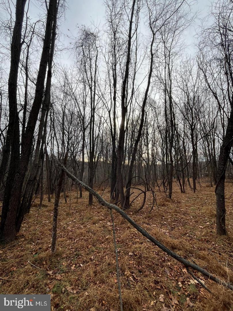 6460 General Drive #ashcroft Property Photo 14